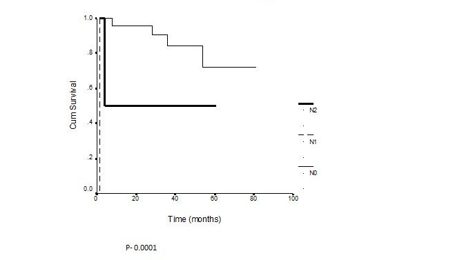 Figure 2: Disease free survival by N Stage